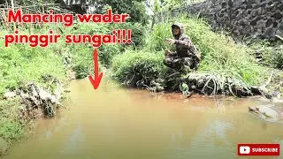 Ikan wadernya sampai terbang kawan🤣🤣🤣 #mancing #mancingmania #fishing #fypyoutube #adventure #angler