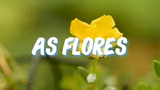 Querida, a terra ainda &eacute; redonda, mesmo que o c&eacute;u desmorone, eu ainda estarei l&aacute;