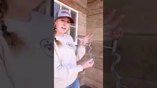 Разбираемся в конских трензелях! Называем части