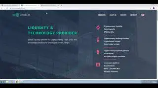 THE TRADERS DOMAIN EXPOSED! WHITE LABEL BROKERAGE.