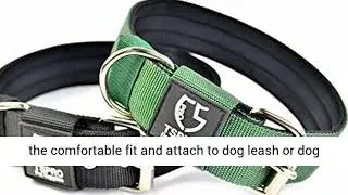 Nylon Tactical Dog Collar Military Adjustable Training Dog Collar
