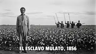 (1856, Veracruz) El Esclavo Mulato: La Se&ntilde;ora Quem&oacute; Su Hacienda Para Huir con &Eacute;l