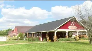 Maybury Corn Maze on Live in the D
