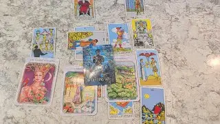 Capricorn ♑ Tarot Relationship Guidance  Reading - Alice 1999 Capricorn
