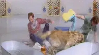 Blue Peter pets compilation