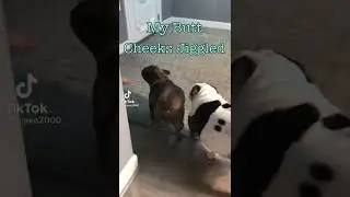 I farted it tickled