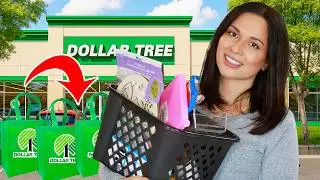 I Bought Dollar Tree’s NEW Finds... NEVER Expected to Find in Store