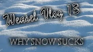 weasel vlog 13: why snow day's suck