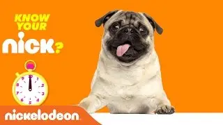 Do You Know Your Nick Trivia? | Pet Edition