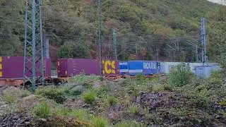 Container Misch Zug im Rheintal unterwegs hier bei Bingerbr&uuml;ck in Richtung Koblenz