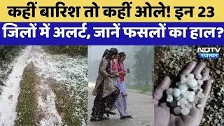 Cold Wave: कहीं बारिश तो कहीं ओले! इन 23 जिलों में अलर्ट, जानें फसलों का हाल? | Top News | Alert