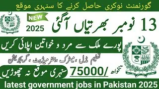Latest government November jobs 2025 ۔ New jobs 2025 in pakistan۔Latest jobs in Pakistan 2025 today
