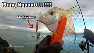 JIG BARU TURUN LANGSUNG DISAMBER DIAMOND TREVALLY I Ultralight Fishing