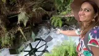 Putaruru Blue springs- clear water ವರ್ಲ್ಡ್ famous ನೀಲಿ ನದಿ  Newzealand ನಲ್ಲಿ -ಅಂದ್ರೆ ಏನು, ನೋಡಿ !!