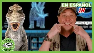 Los dientes fuertes de los dinosaurios 🦖 Videos de dinosaurios y juguetes para ni&ntilde;os