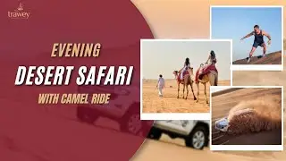 Book your evening Desert Safari with Camel Ride | Dubai Desert Safari Tour Packages