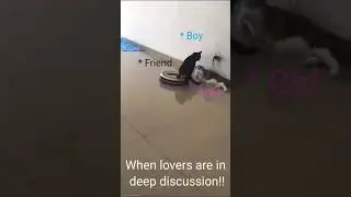 When lovers are in deep discussion!!
