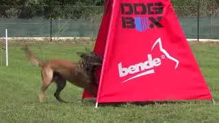 Dogbox tréningpálya