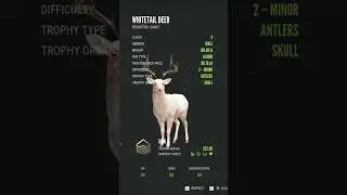 Крепкий белохвостый олень-альбинос #thehuntercallofthewild #gunnation #gaming #tiktok #shorts