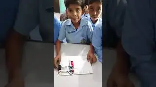 Science Circuit activity #making #students #school #fun #education #teachersday #greatschools