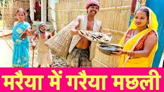 मरैया में गरैया मछली #maithili_comedy_dhorba