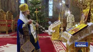 „Iisus Hristos a fugit în Egipt pentru a sfinți orice drum al suferinței umane”