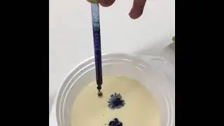Milch und Seife Experiment