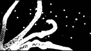 RN214