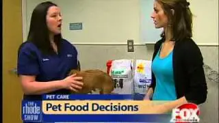 Pet food decisions for your furry friend