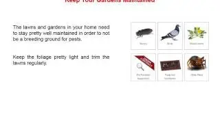 The Most Common Homeowner Habits That Attract Pests into Your Home