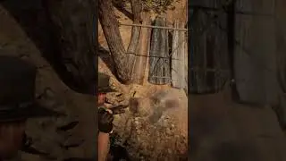 Ошибка моста | Руководство по RDR2 #шорты #fyp #foryou #тренд #игры #rdr2 #rdr #рекомендуется #ге...