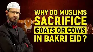Why do Muslims Sacrifice Animals in Bakri Eid? | Dr Zakir Naik