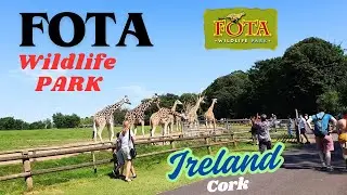 FOTA Wildlife Park CORK Ireland || A Must Visit Place With Kids - Zoo In Cork Ireland