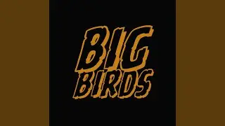 Big Birds