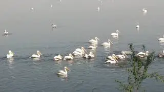 My village, Chandlai