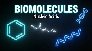 Biomolecules - Nucleic Acid 