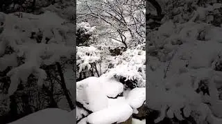 Snowfall In Siachen Glacier