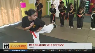 Red Dragon Self Defense School