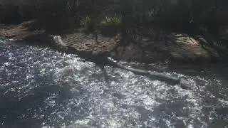 Oallen Ford , Shoalhaven river gold NSW