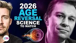 Омоложение в 2026 году: 5 реальных инноваций, которые помогут нам не стареть.