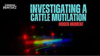 Investigate A Cattle Mutilation - Hidden Moment