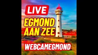 🔴 Welkom bij de live webcams van Egmond aan Zee!