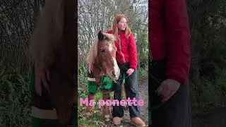 Ma ponette #faitepercer #horse #equestrian #pony #love