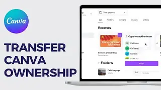 How To Transfer Your Canva Design To Another Canva Account in Less Minute (2024)