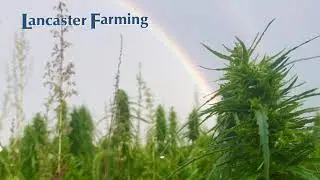Hemp History Week!