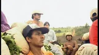 Cortometraje Misiones