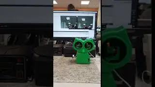 AINT308: Owl mimics Human eye movement (Eye-roll)