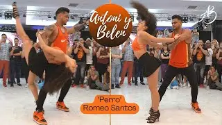 PERRO - ROMEO SANTOS / ANTONI Y BELEN / Fever Bachata (SPAIN)