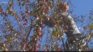 Main Street Christmas Light Extravaganza lights up downtown Macon