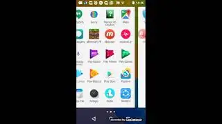 Reagindo aos musical.ly d&aacute; Lolla verta
